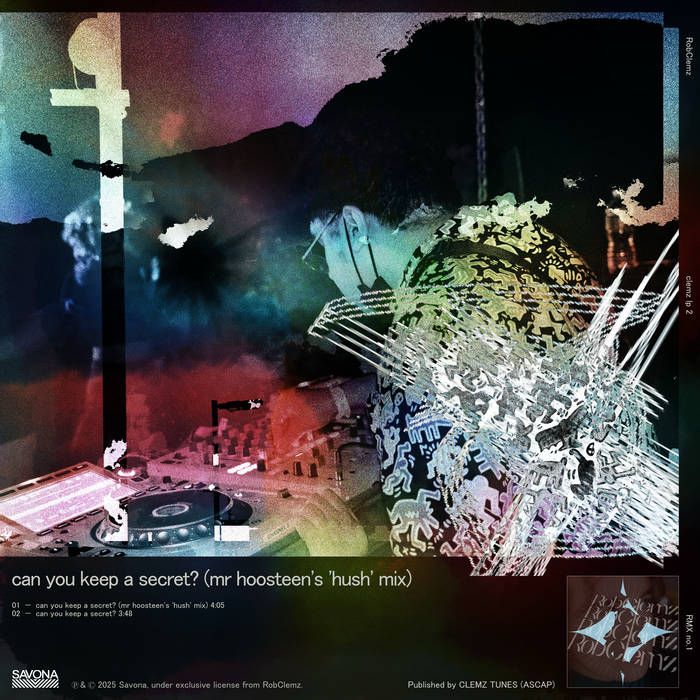 Cover art for ‘can you keep a secret (mr hoosteen’s ‘hush’ mix)