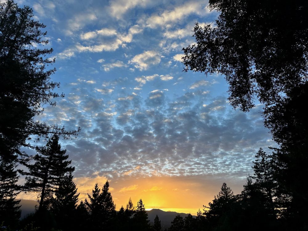 orange glow of the sun coming from behind the mountains. blue skies above with wispy clouds. santa cruz mtns
