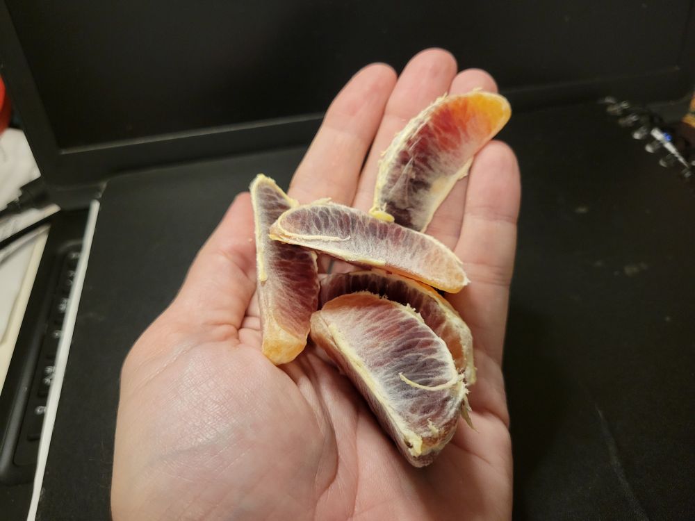 Maroon to orange orange slices in my hand in front of my computer monitor. 
