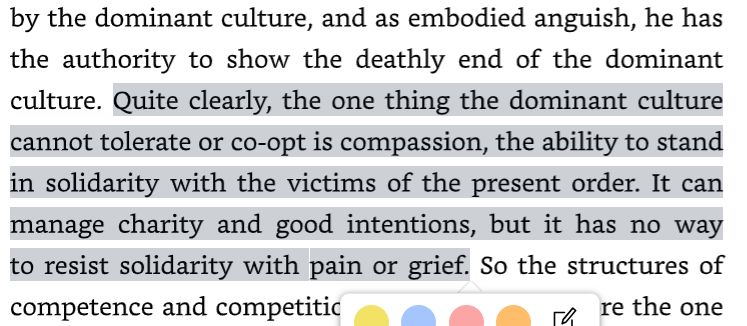 Highlighted text from Walter Brueggemann's The Prophetic Imagination: "Quite clearly, the one thing the dominant culture cannot tolerate or co-opt is compassion, the ability to stand in solidarity with the victims of the present order. It can manage charity and good intentions, but it has no way to resist solidarity with pain or grief."