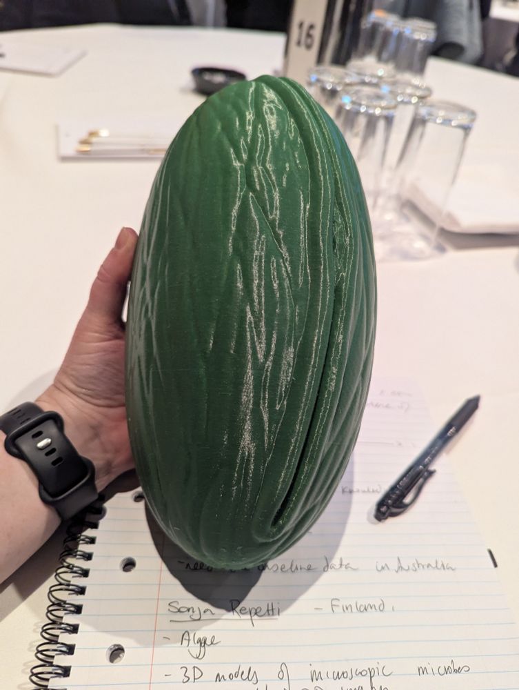 Green 3D printed model of an algae. It is a large oval with a textured surface. 