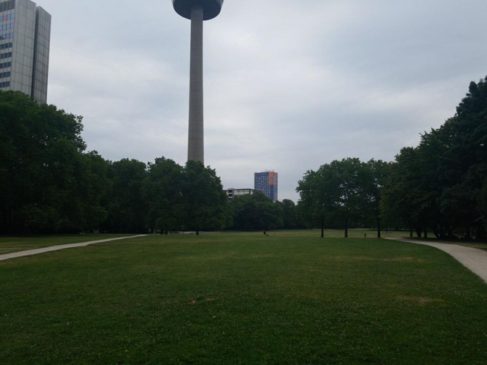 Foto Innerer Grüngürtel in Köln, im Hintergrund der Fernsehturm Colonius.