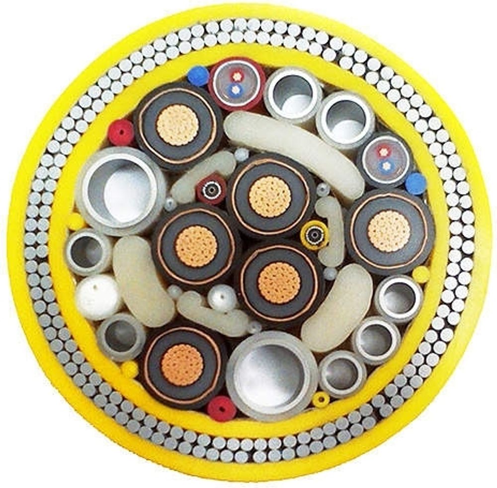 A cross-section of one of the undersea internet cables. It has an outer rim - between yellow bands - of small round silver circles, and a central area of multicoloured circles (some filled with smaller cables too) separated by blockers