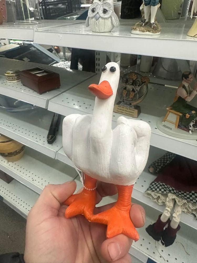 Scene in a thrift store, with a hand holding a life-size white plaster fist with middle finger raised. The finger has an orange beak and black eyes, and the fist rests on big orange feet, making the whole thing look like a belligerent duck.