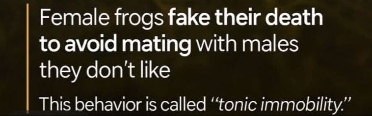"Female frogs fake their death to avoid mating with males they don't like
This behavior is called 'tonic immobility'."