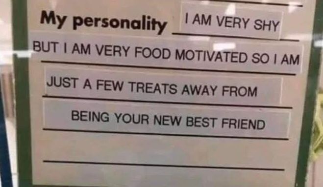 Sign in an animal shelter, "advertising" a dog:
"My personality:
"I am very shy but I am very food motivated so I am just a few treats away from being your new best friend"