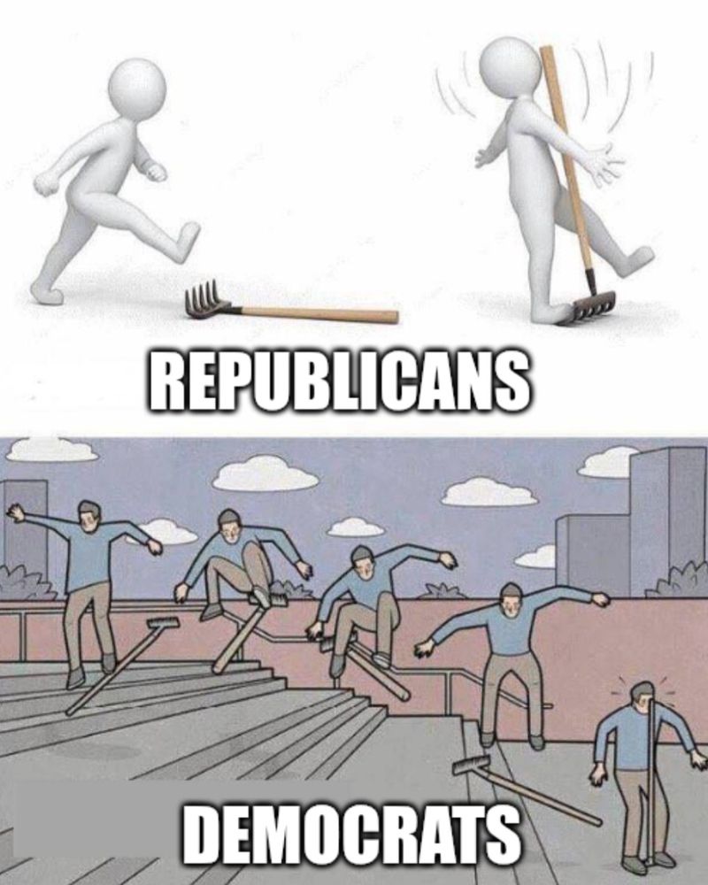 Meme in two parts.
Top has a basic white anthropomorphic figure boldly stepping forward onto a rake, which hits him in the face. It's labelled "Republicans".
Bottom is a coloured drawing showing a sequence of a guy trying to use the rake as a skateboard doing a trick going down stairs. At the bottom, he lands on it - and it hits him in the face. It's labelled "Democrats".