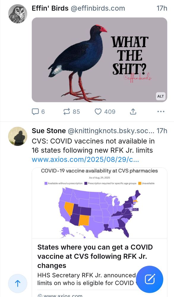 Screen shot of two posts in my bluesky following feed, dated 17 hours ago because I had scrolled down to where I left off yesterday. The bottom one, and so the first one because I am scrolling up, is a news post by Sue Stone aka knittingknots stating: "CVS: COVID vaccines not available in 16 states following new RFK Jr. limits" and then includes a link to the article. The post above this one is an Effin' Birds post with a painting of a bird that I believe is a purple swamphen, next to the exclaimation: "What the shit?"