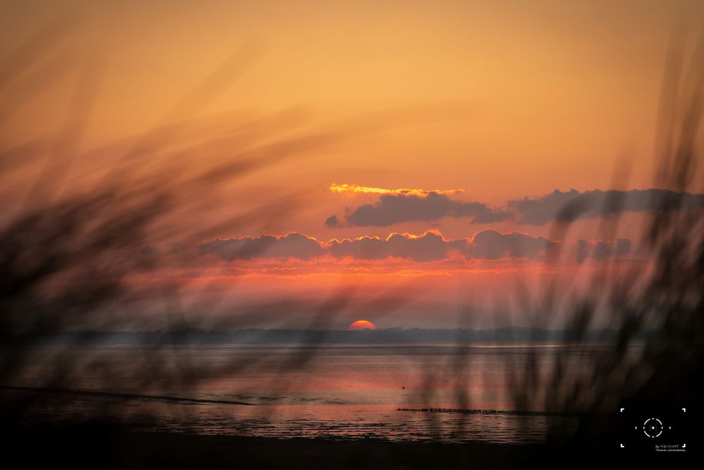 Die Sonne geht hinter einer Wolkendecke über dem Wasser unter. Der Himmel ist orange und rot gefärbt, im Vordergrund verschwommen Grashalme.

The sun sets behind a layer of clouds over the water. The sky is painted in orange and red hues, with blurred blades of grass in the foreground.
