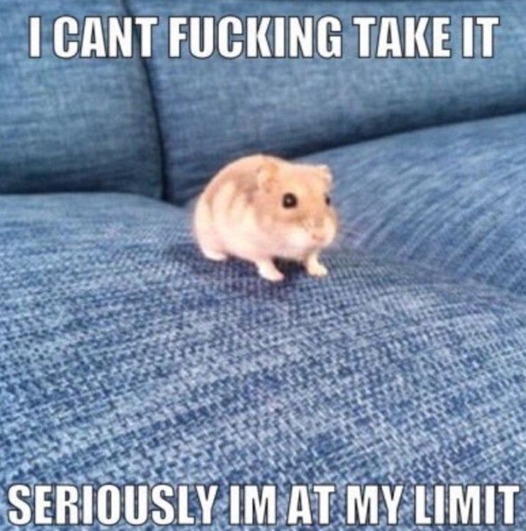 I CAN'T FUCKING TAKE IT

SERIOUSLY IM AT MY LIMIT