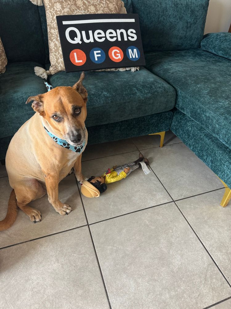 Scout Dawg and the Athlete Logo LFGM sign he sent us!