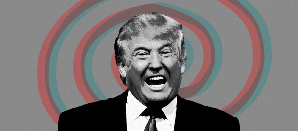 The Power Grab Behind the Unfittest Candidate | Dame Magazine