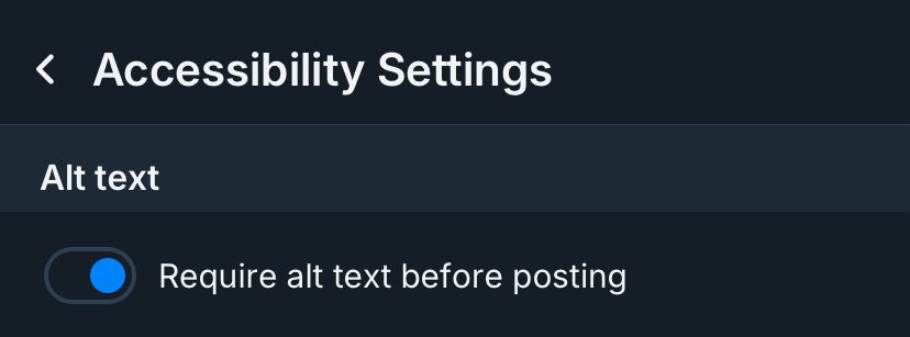 A screenshot of the Accessibility Settings on Bluesky with the button “Require alt text before posting” turned on