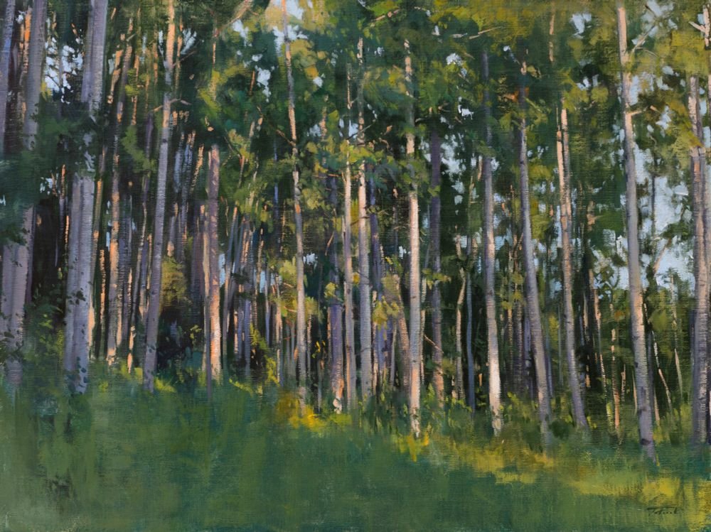 Landscape painting in oils of sunrise on a stand of Aspen trees by American artist Patrick Saunders