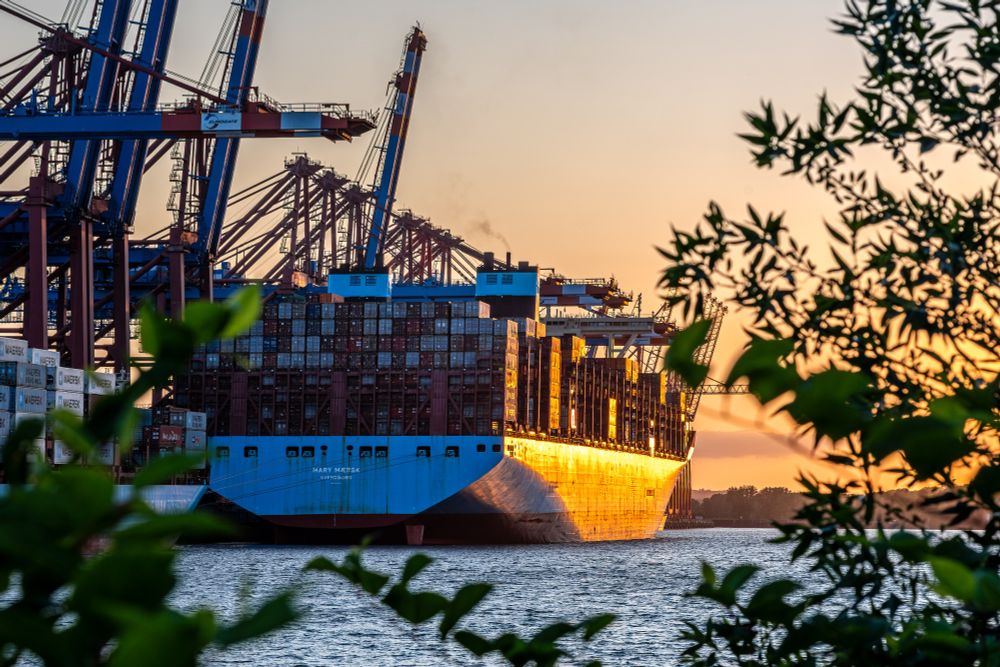 A container vessel glittering in the setting sun light in the Burchardkai harbor in Hamburg with some leaves in the foreground