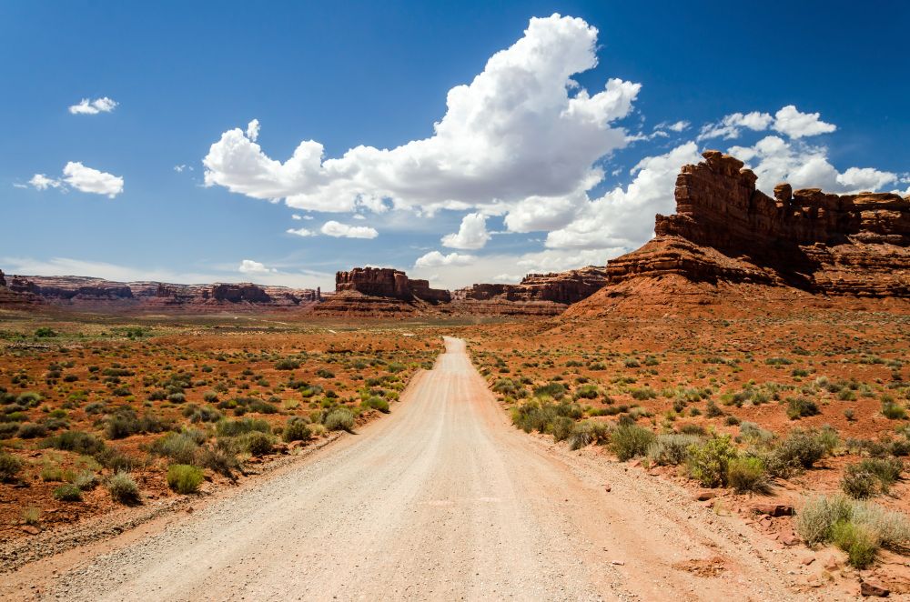 A dirt road leading through the red desert in the Valley of the Gods in the USA
