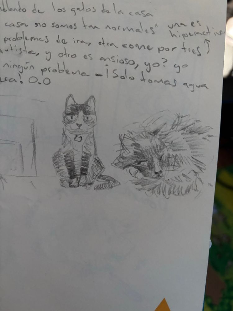 A couple of cat drawings with pencil