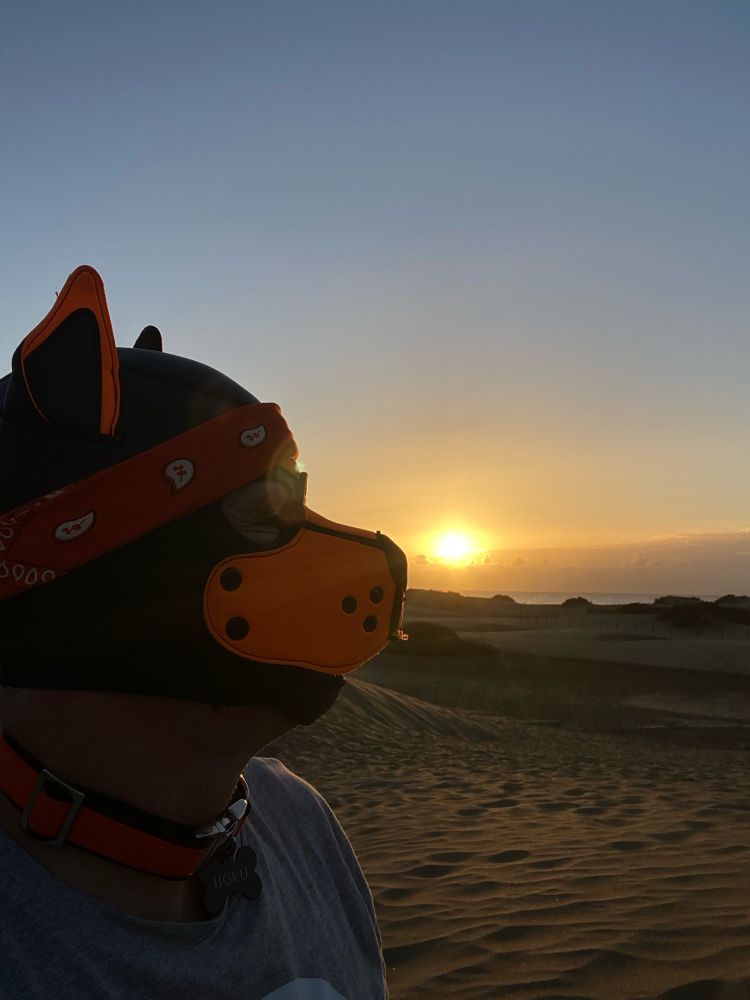 Mann mit Puppymaske stupst die Sonne an!