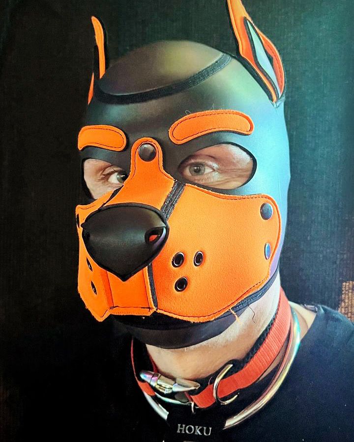 Since yesterday officially Pupp_ HOKU