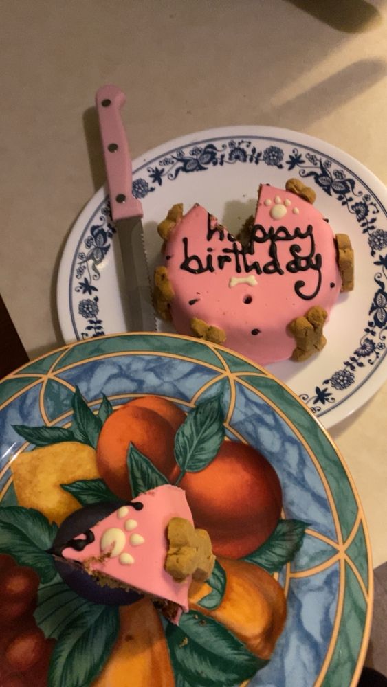 My dog’s birthday cake with a slice cut out on it on another plate. 