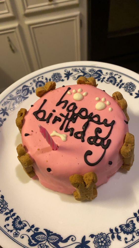 Close up picture of my dog’s birthday cake. It has pink frosting and is decorated with white paw prints and a bone make out of white frosting and has bone shaped dog treats around the edges. It says happy birthday in black frosting. It is placed on a white plate with blue floral edges and has a pink candle in it. 