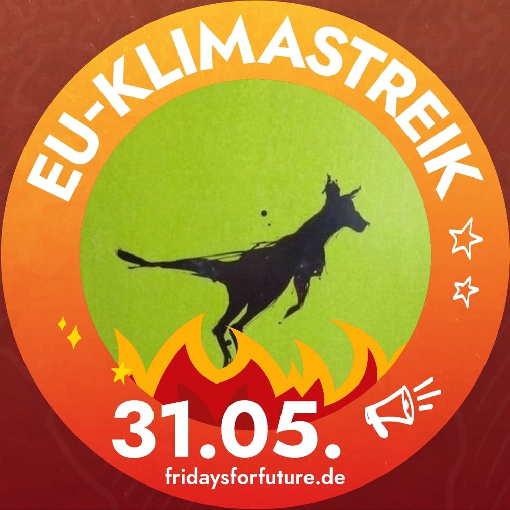 Mein Profilbild mit den Demo Aufruf zum 31.5
