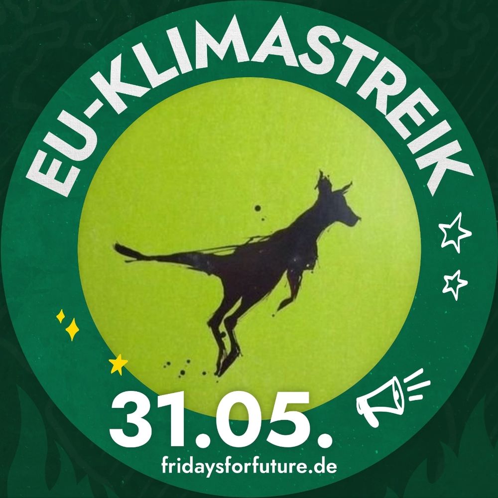 Mein Profilbild mit den Demo Aufruf zum 31.5