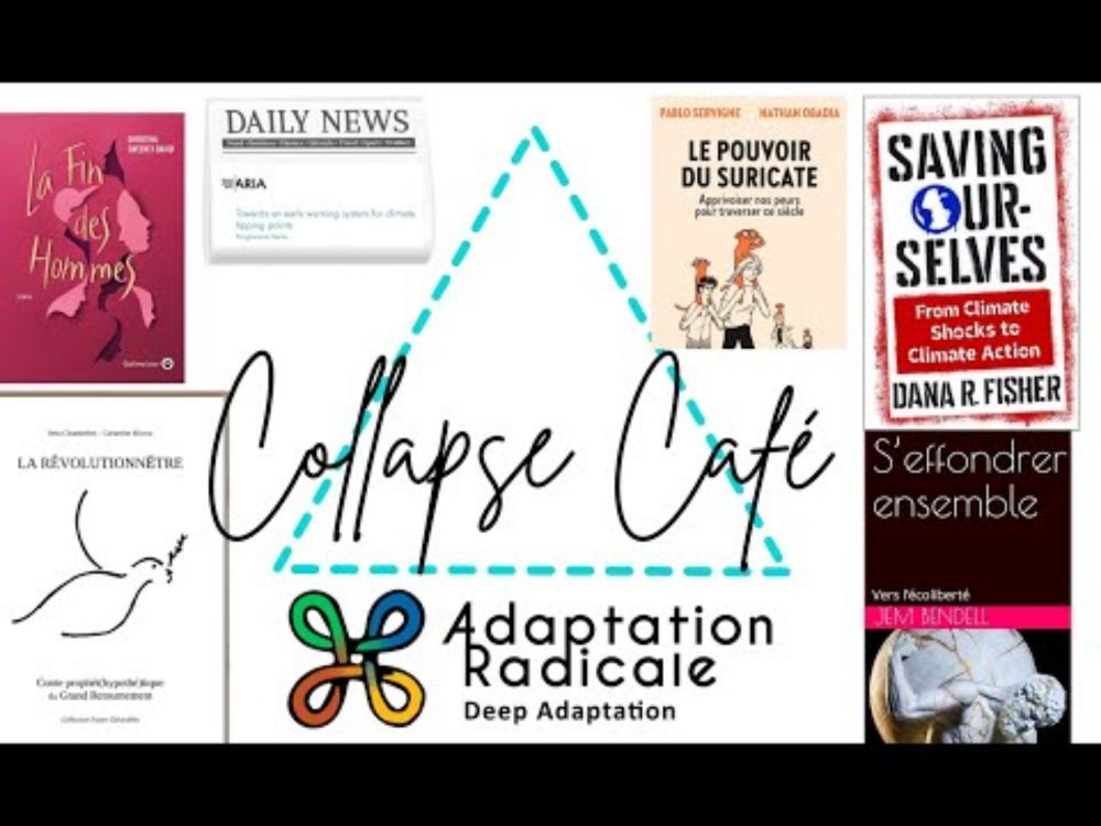 Premier collapse café en ligne - par Adaptation Radicale