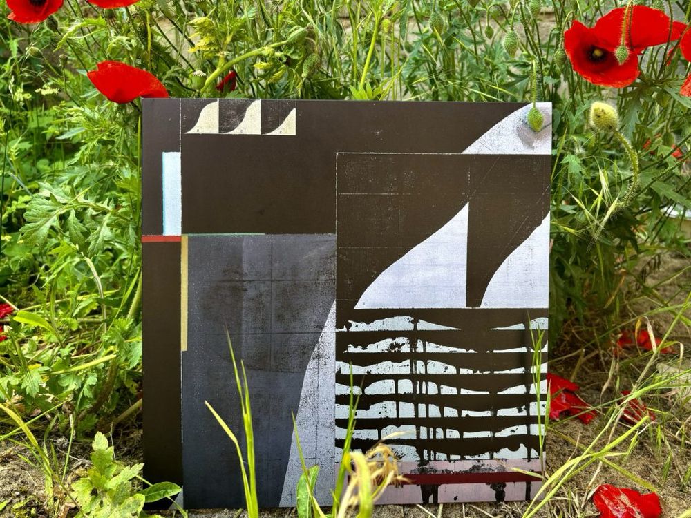 A vinyl album with abstract art amidst green foliage and red poppies. The artwork features geometric shapes and patterns in dark tones with contrasting colors.