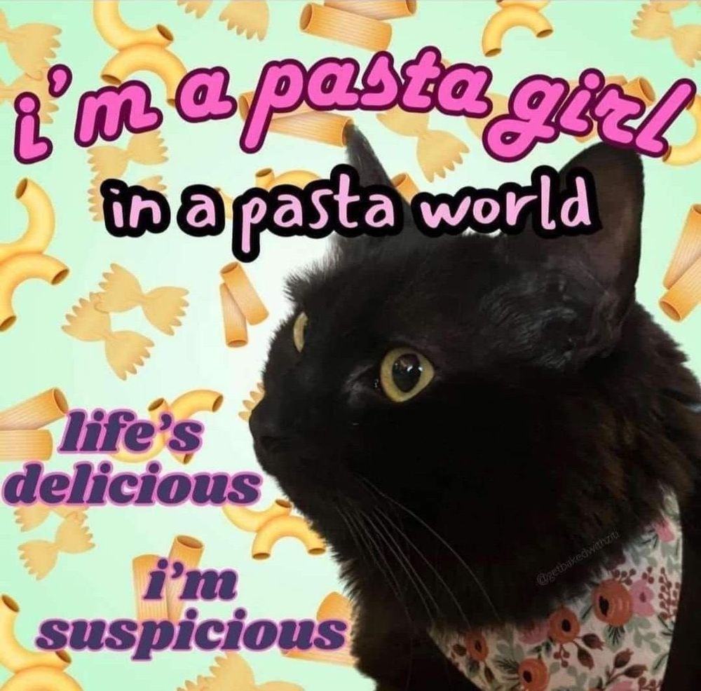 A black cat’s side profile is superimposed over a light green background decorated with various shapes of pasta. The cat wears a floral neckerchief. The text around the cat reads: I’m a pasta girl in a pasta world, life’s delicious, I’m suspicious. 