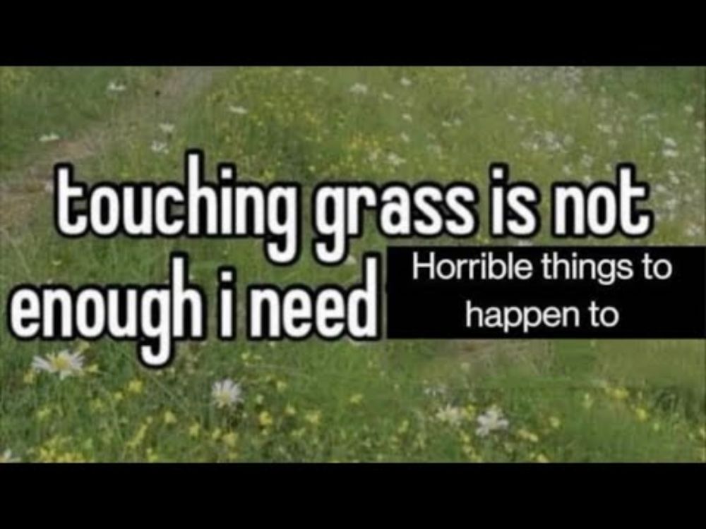touching grass is not enough