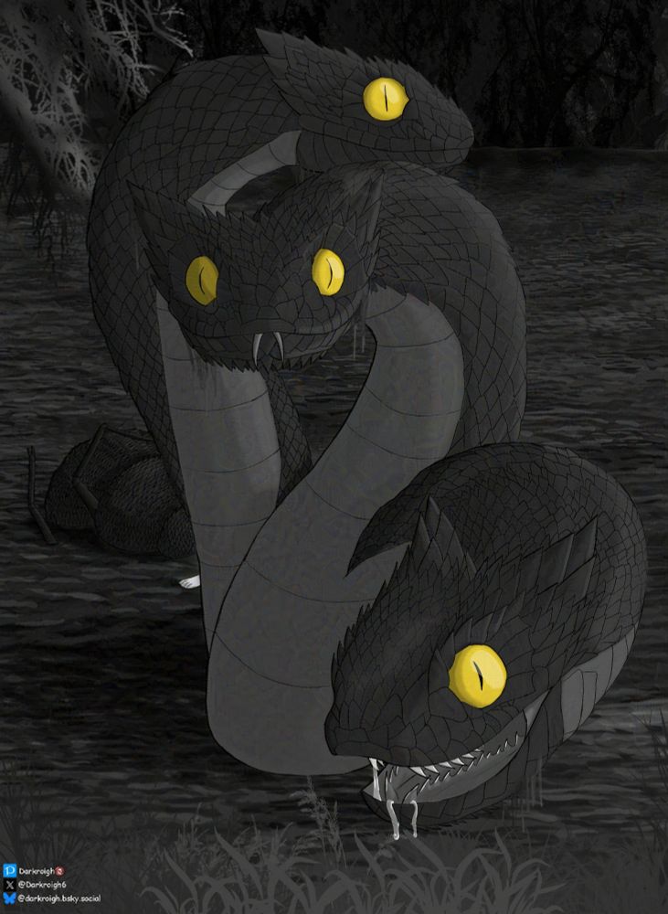 A hydra with 3 snake heads coming out of a swamp. It has dark scales and big yellow eyes. One head is looking straing at the viewer, one is coming closer with open mouth, while the third is looking off into the distance. behing the lake there is a forest. More info here: https://bsky.app/profile/darkroigh.bsky.social/post/3ltjdhtocec2a