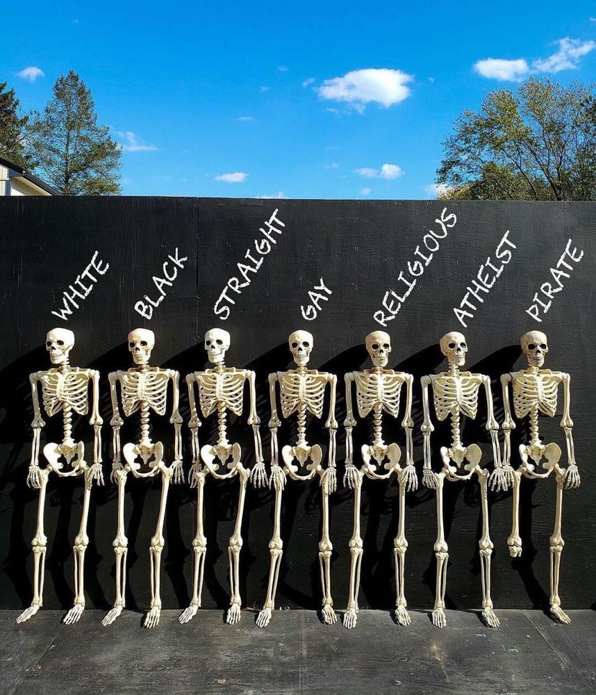 7 skeletons in front of a black wall, labeled "white, black, straight, gay, religious, atheist, pirate" where the seventh skeleton labeled "pirate" only has one leg. 