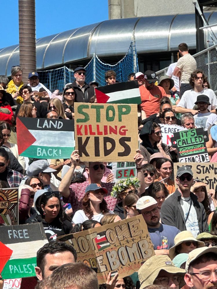Crowd shot of people holding signs saying things like “stop killing kids” and Palestinian flags