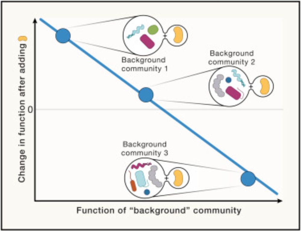 A simple rule for predicting function of microbial communities