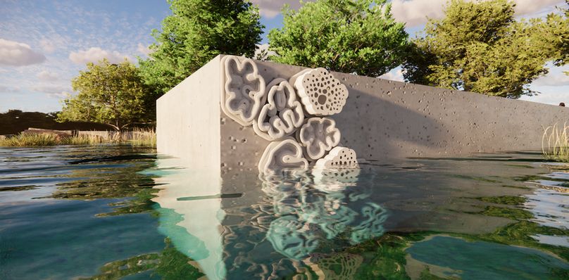 BIOCAP tiles reimagine seawalls as dynamic, ecologically active systems that have the potential to enhance coastal resilience.
