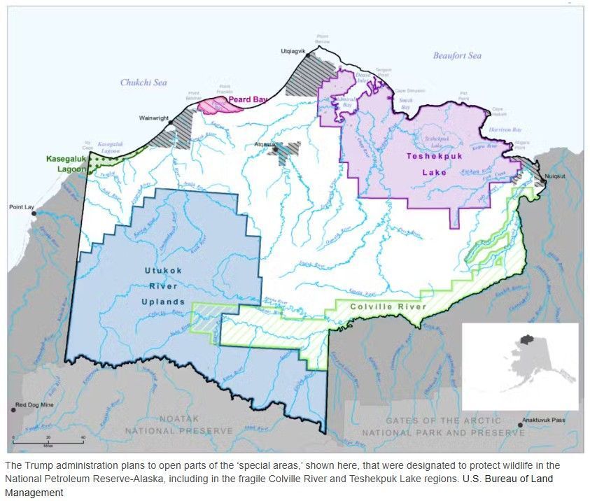 The Trump administration plans to open parts of the ‘special areas,’ shown here, that were designated to protect wildlife in the National Petroleum Reserve-Alaska, including in the fragile Colville River and Teshekpuk Lake regions. U.S. Bureau of Land Management