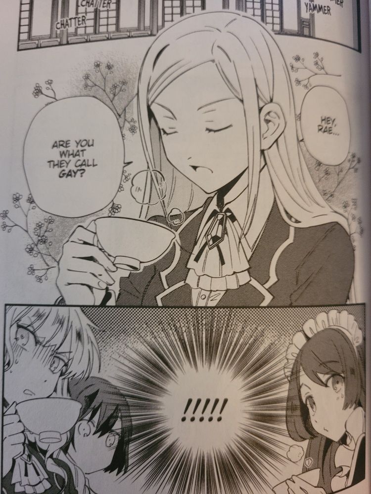 Page from ILTV where Rae is asked if she's gay