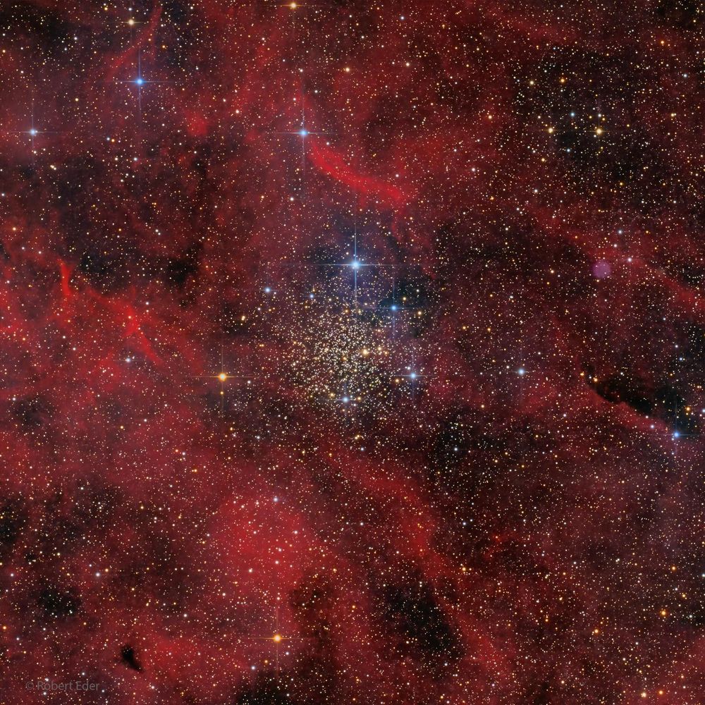 IC 1311