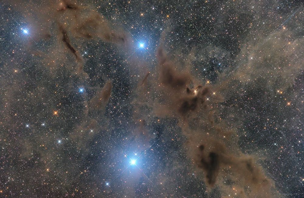 Dark Wolf Nebula in Lupus (Barnard 228) - LRGB
