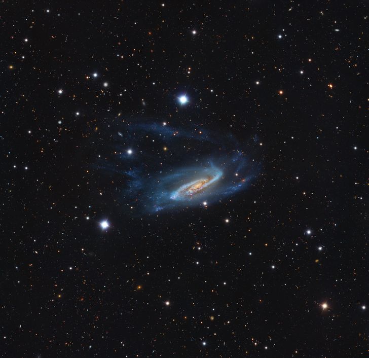 NGC 3981 / Arp 289 - Windblown Galaxy in Crater