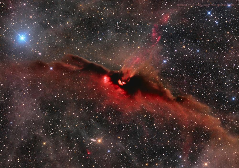LDN43 - a cosmic firebat