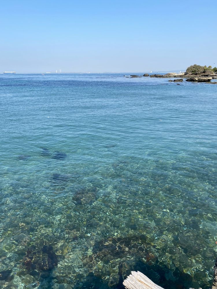 横須賀の観音崎の海。水が澄んでいる。
