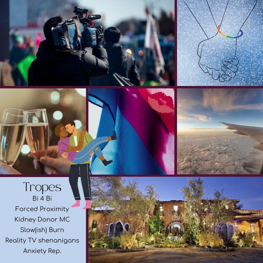 Mood Board with: TV cameraman, illustrated hand holding with rainbow bracelet over snow, champagne, silhouette behind a bi flag, view out an airplane window, sticker of a M/M couple, Bachelor mansion. 
Tropes: Bi 4 Bi, Forced Proximity, Kidney Donor MC, Slow(ish) Burn, Reality TV Shenanigans, Anxiety Rep.