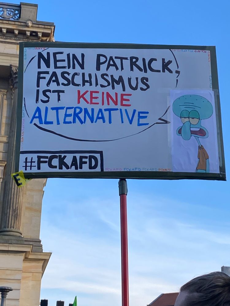 Demoplakat auf einer roten Stange wird in die 

höhe gehalten. Darauf zu sehen ist ein genervter Thaddäus Tentakel und eine Sprechblase mit den Worten: "Nein Patrick, Faschismus ist keine Alternative." Die letzten beiden Wörter sind in Rot und Blau, den Farben des AFD-Logos, geschrieben. In der unteren linken Ecke steht #FCKAFD