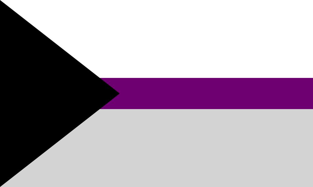 An image of the demisexual flag.