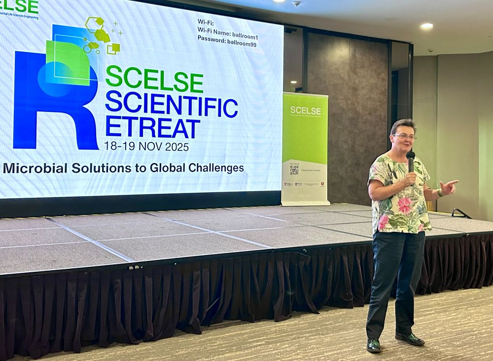 It’s World AMR Awareness Week — themed Act Now: Protect Our Present, Secure Our Future. SCELSE is doing exactly that with this week’s sharing on exploiting cell wall-deficient Pseudomonas aeruginosa for new AMR solutions.
 
Presented at the SCELSE Scientific Retreat, Alicia P. — a SCELSE PhD student under the supervision of Prof Cynthia Whitchurch FAA Whitchurch — highlighted a promising vulnerability in this highly drug-resistant pathogen.

When exposed to very high beta-lactam levels, P. aeruginosa can enter a temporary cell wall-deficient state that increases drug influx and weakens efflux. In this window, the bacterium becomes far more sensitive to antibiotics and even FDA-approved non-antibiotic compounds.

From a 1,443-compound screen, 81 showed potentiated activity, including 41 non-antibiotics that worked only in this weakened state. This opens new opportunities to repurpose existing drugs against Gram-negative infections.
 
Next steps: To uncover mechanisms of action and explore how this vulnerability can be harnessed for therapeutic strategies.

 
