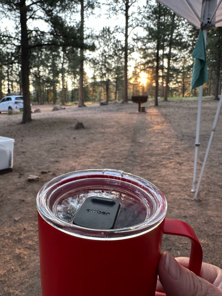 Point of view from a person sitting in a chair at a campsite dotted with pine trees, holding a red mug of coffee, as the sun rises in the distance.