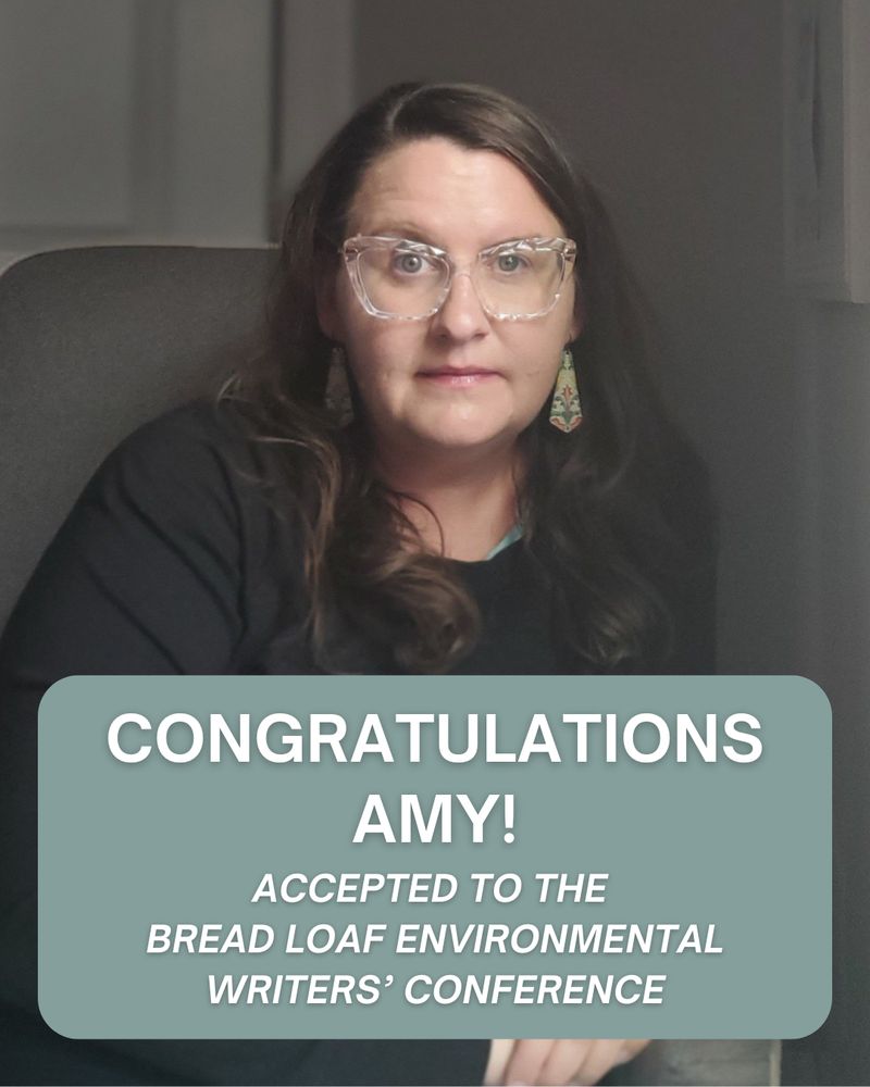 Headshot of writer Amy Kennedy looking at the camera in front of a gray background. She is wearing a black top, large-framed patterned glasses, big earrings, and her hair is down. White text underneath reads, in all caps, "Congratulations Amy! Accepted to the Bread Loaf Environmental Writers' Conference"