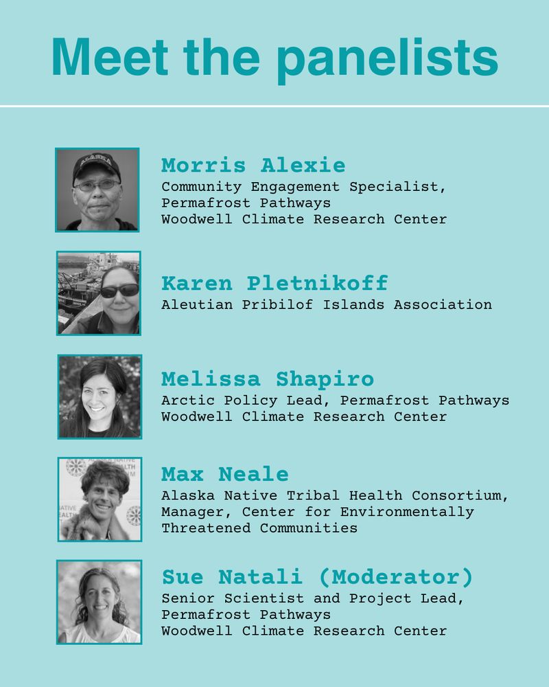 List of panelists: Morris Alexie, Karen Pletnikoff, Melissa Shapiro, Max Neale, and Sue Natali (moderator)